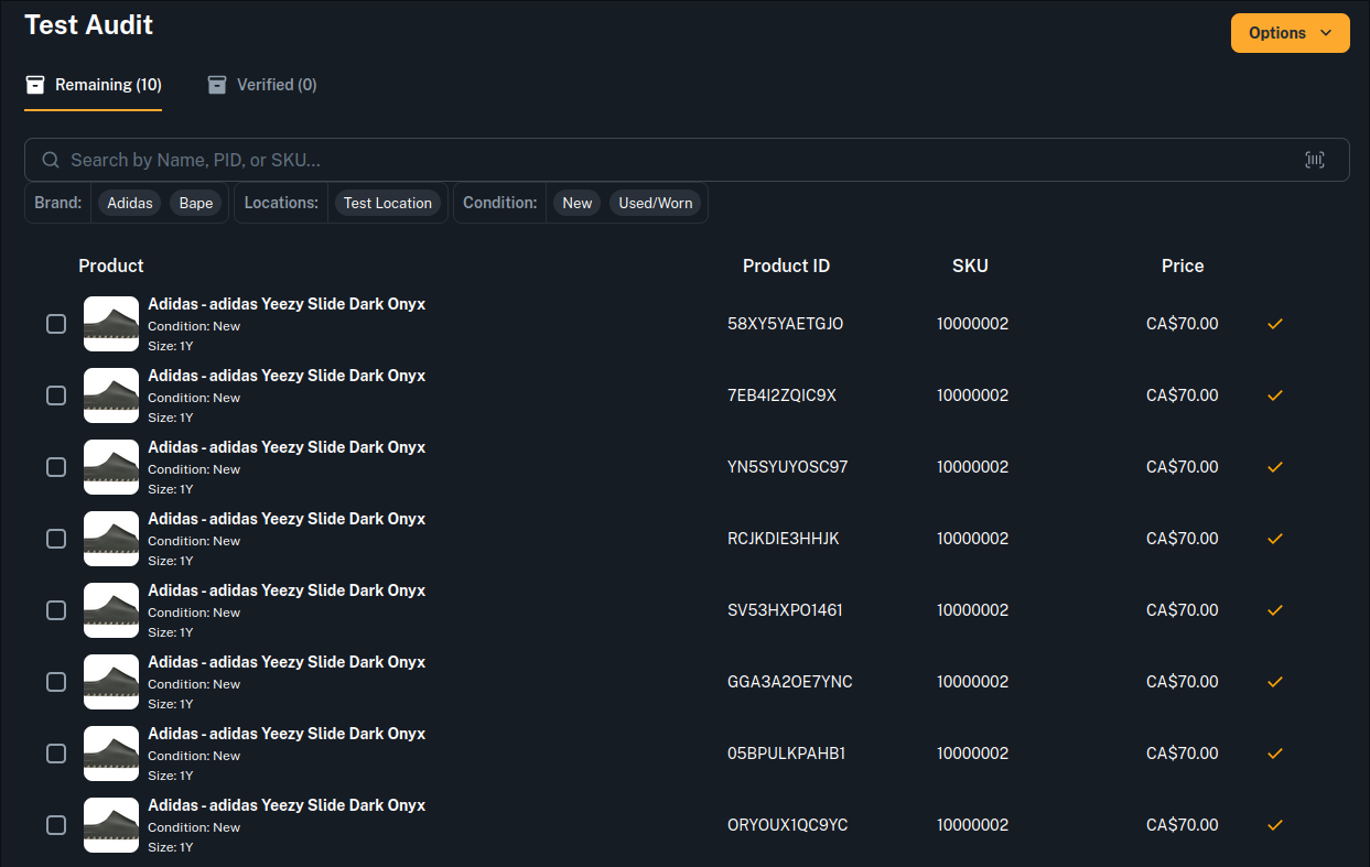 Inventory audit screen with barcode scanning and stock adjustments